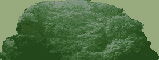 Reference image