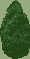 Reference image