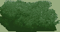 Reference image