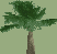Reference image