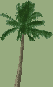 Reference image