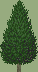 Reference image